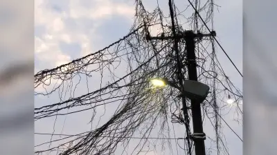 बिजली पोल व तार का जंंजाल, दुर्घटना को दे रहा दावत