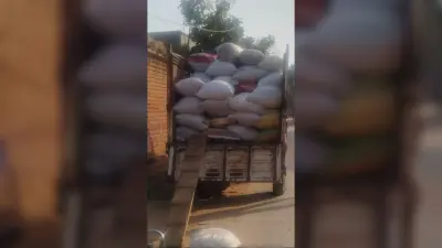 बिचौलिये गांव-गांव घूमकर चला रहे धान का धंधा, लैंप्स पड़ा मंदा