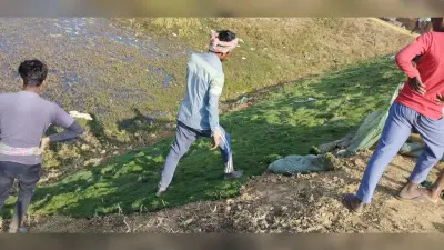 सेलेक्शन ग्रास से सर्किट हाउस स्थित तालाब का हो रहा सौंदर्यीकरण
