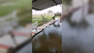 दुल्हिनबाजार में नहर का तटबंध टूटने से सैकड़ों बीघे की फसल डूबी