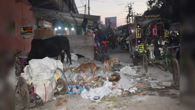 Dhanbad News:कूड़ेदानों में गंदगी का अंबार, राहगीर परेशान