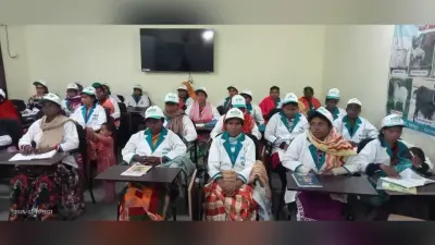 ग्रामीण महिलाएं मुर्गी पालन व अचार-पापड़ का व्यवसाय कर बन रही हैं आत्मनिर्भर