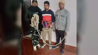 चाकू से पिता-पुत्र पर हमला, दो गिरफ्तार