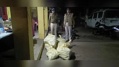 कार से 1293 बोतल कोडिनयुक्त कफ सिरप बरामद