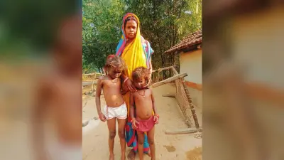 East Singhbhum news : धातकीडीह की दो सबर बच्चियां अज्ञात बीमारी से पीड़ित, इलाज में गरीबी बाधक