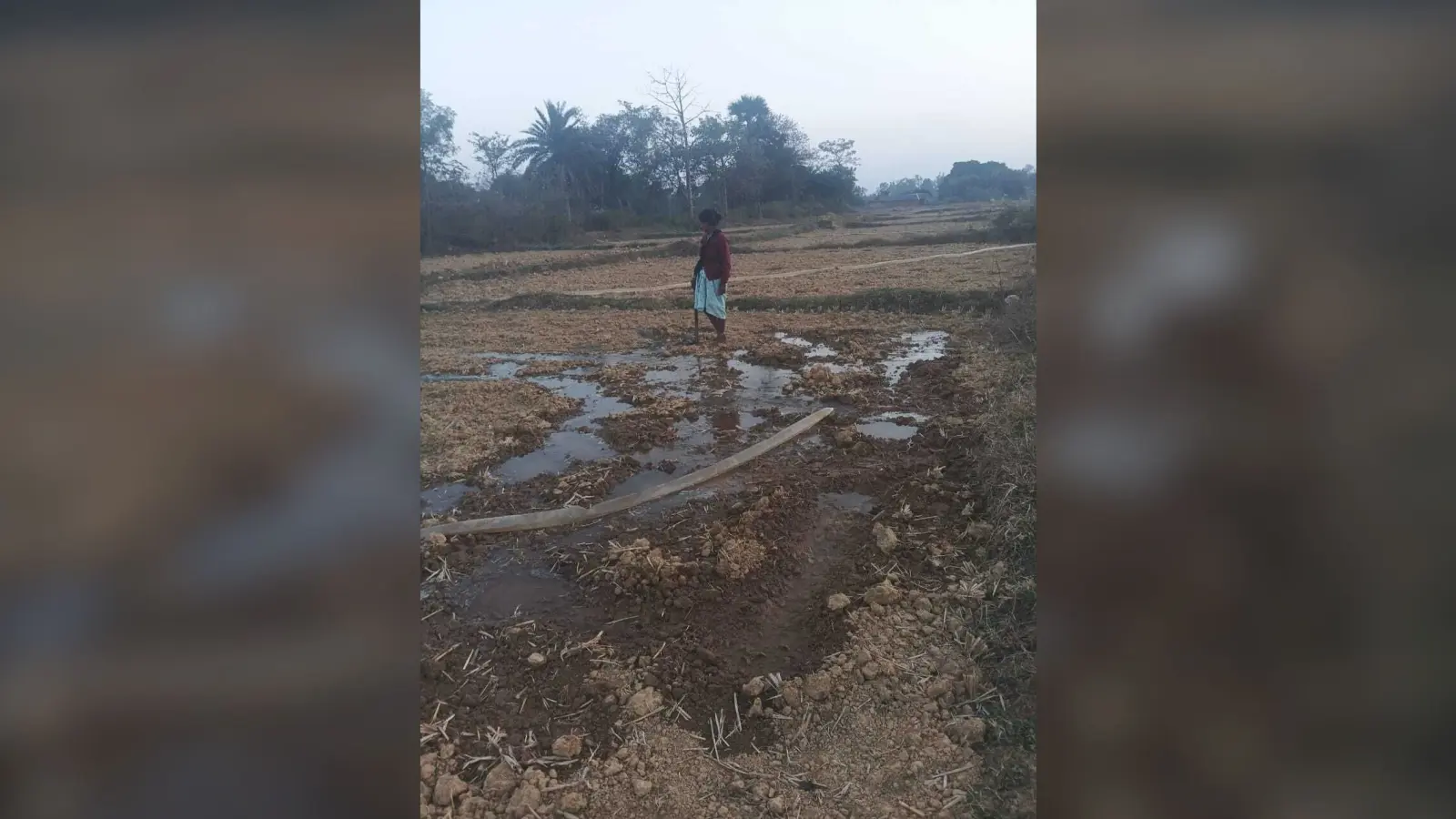 East Singhbhum news : चार किमी दूर नदी का पानी खेत तक पहुंचा सोना उगा रहे युवा किसान