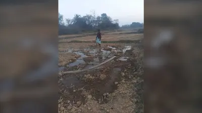 East Singhbhum news : चार किमी दूर नदी का पानी खेत तक पहुंचा सोना उगा रहे युवा किसान