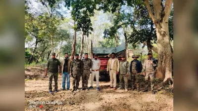 Giridih News: वन विभाग ने जब्त किया सखुआ लकड़ी लदा वाहन