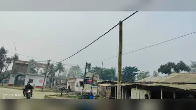 बांस के सहारे हो रही बिजली की आपूर्ति