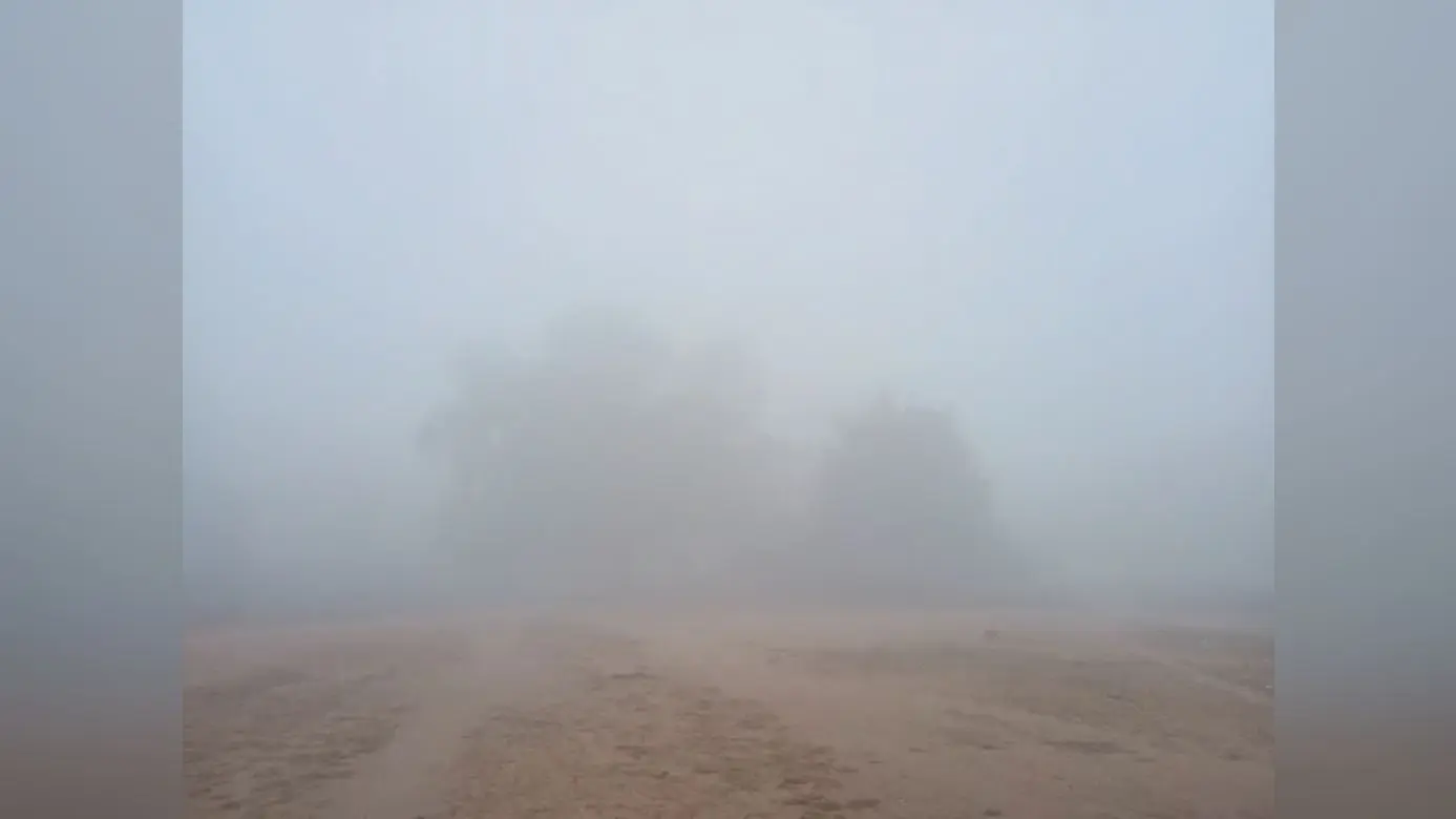कुहासे से पटा रहा आसमान, ठंड से लोग रहे बेहाल