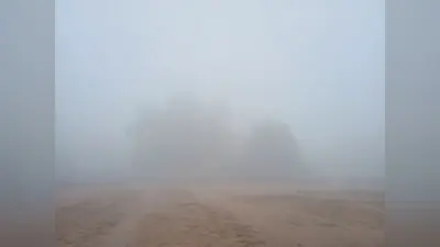 कुहासे से पटा रहा आसमान, ठंड से लोग रहे बेहाल