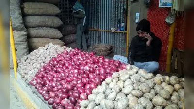 इंदौर व नासिक से आवक बढ़ी तो प्याज के भाव हो गये कम