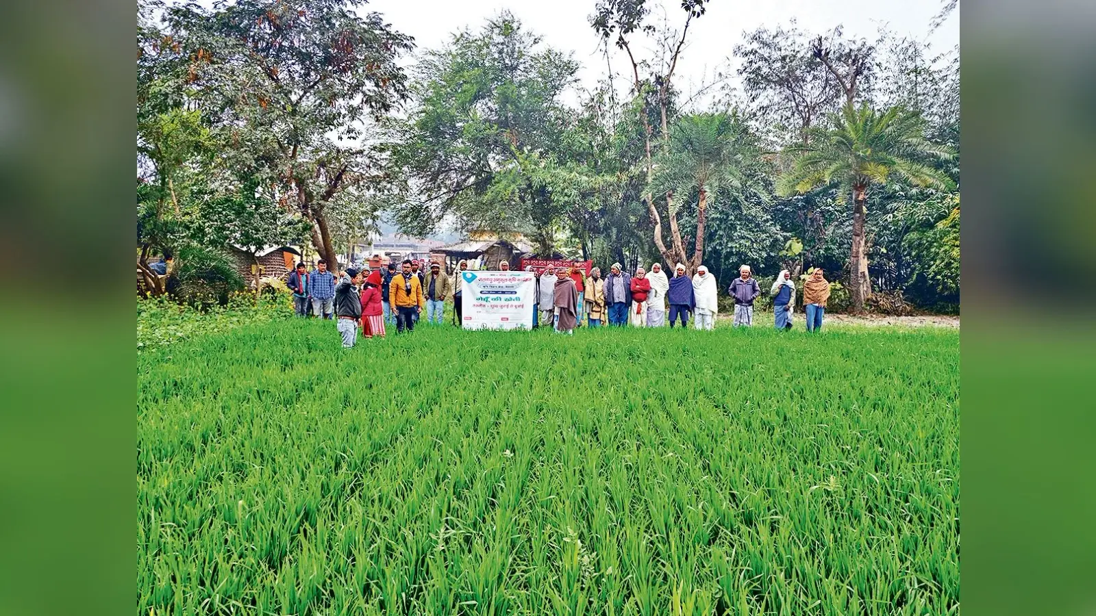 Hajipur News : अच्छी उपज के लिए खेतों में लगाएं एक से ज्यादा फसलें