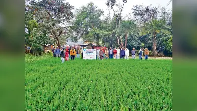 Hajipur News : अच्छी उपज के लिए खेतों में लगाएं एक से ज्यादा फसलें