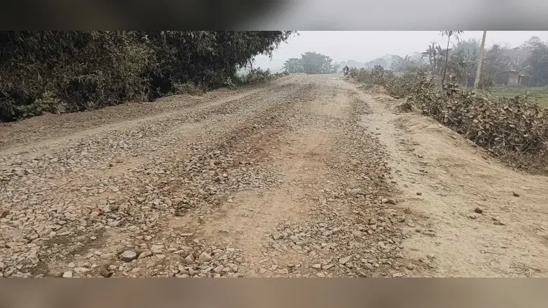 पथ के जीर्णोद्धार कार्य में बरती जा रही अनियमितता, पोषक क्षेत्र के लोगों में पनप रही नाराजगी