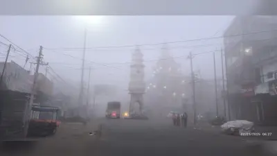 Giridih News: सुबह में छाया रहा कोहरा, दिन में खिली धूप