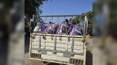 Giridih News: कालाबाजारी के लिए जा रहा चावल जब्त