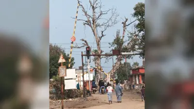 रेलवे समपार के बूम को भैंसा ने तोड़ा, हुई परेशानी