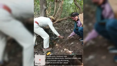 East Singhbhum news : घाटशिला के माकुली में तीन दिनों से बैल लापता, आसपास में मिले बाघ के पैरों के निशान, शिकार करने की आशंका, खौफ में ग्रामीण