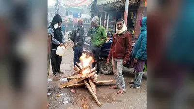 Madhubani News : विंड चिलिंग का असर बरकरार, दो से तीन दिनों तक और सतायेगी ठंड