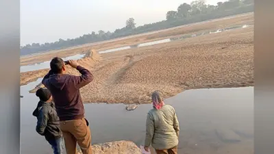 Rourkela News: राउरकेला वन क्षेत्र में 31 प्रजातियों के 13170 देसी व विदेशी पक्षी मिले