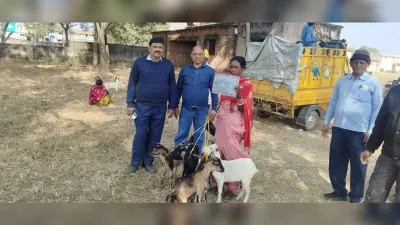 15 लोगों को मिला सीएम पशुधन योजना का लाभ