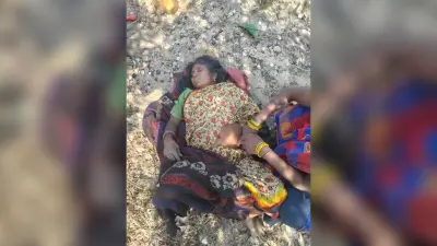 Bokaro News : हाथी ने तीन को कुचला, एक महिला की मौत