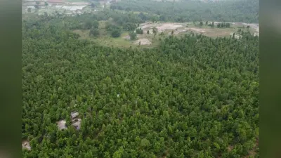 Drone Surveillance: झारखंड के जंगलों में ड्रोन से होगी हाथियों की निगरानी, अवैध कटाई और शिकार पर भी रहेगी पैनी नजर