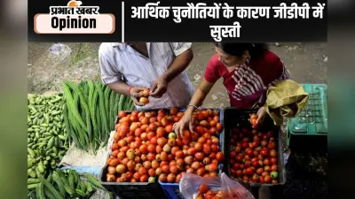 घरेलू नीतियों से जीडीपी वृद्धि को देनी होगी गति