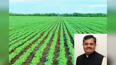 बदला परिदृश्य, पर नयी नीतियां हैं जरूरी