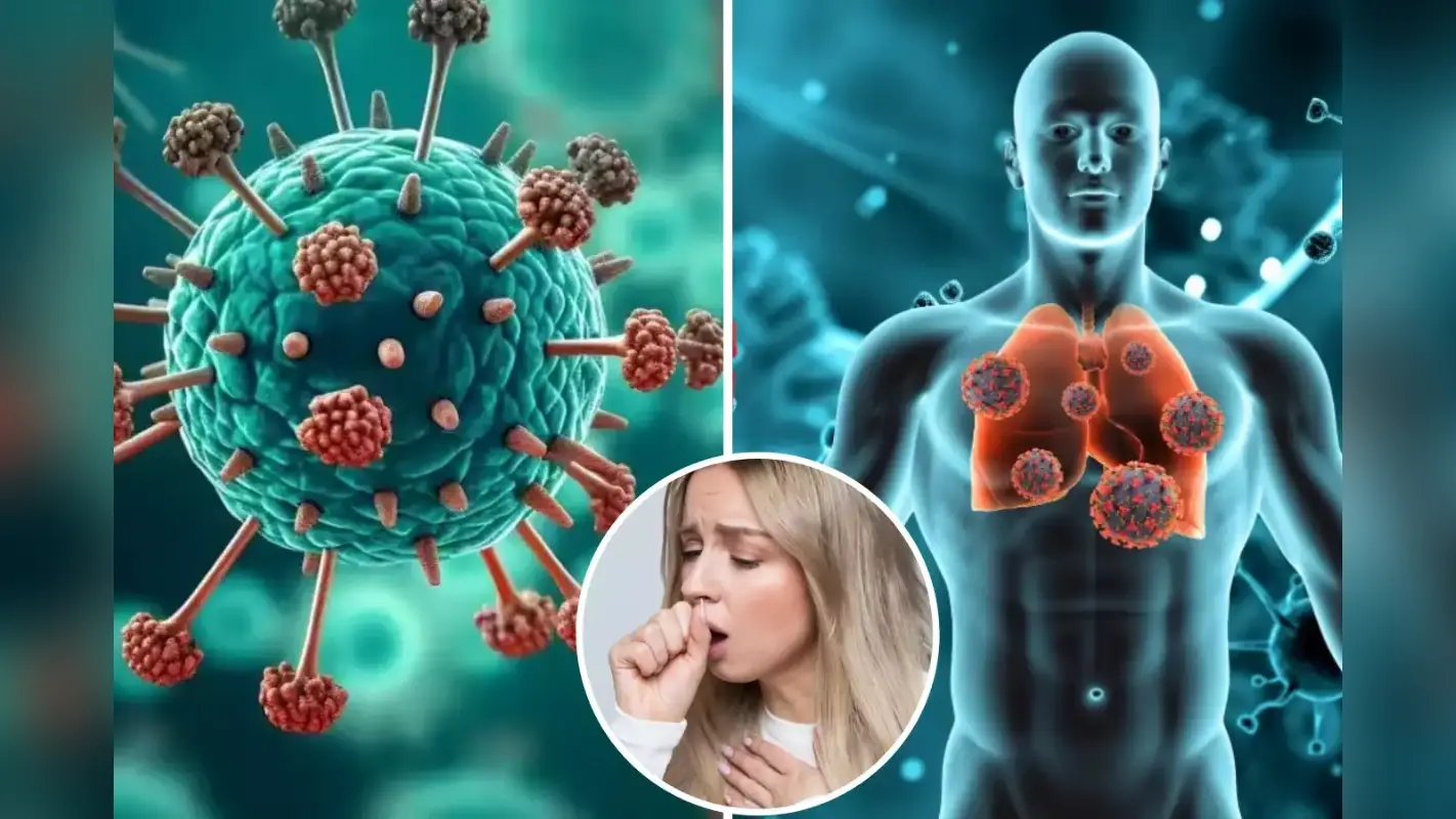 HMPV Virus को लेकर मुजफ्फरपुर में अलर्ट, सावधानी बरतने की सलाह