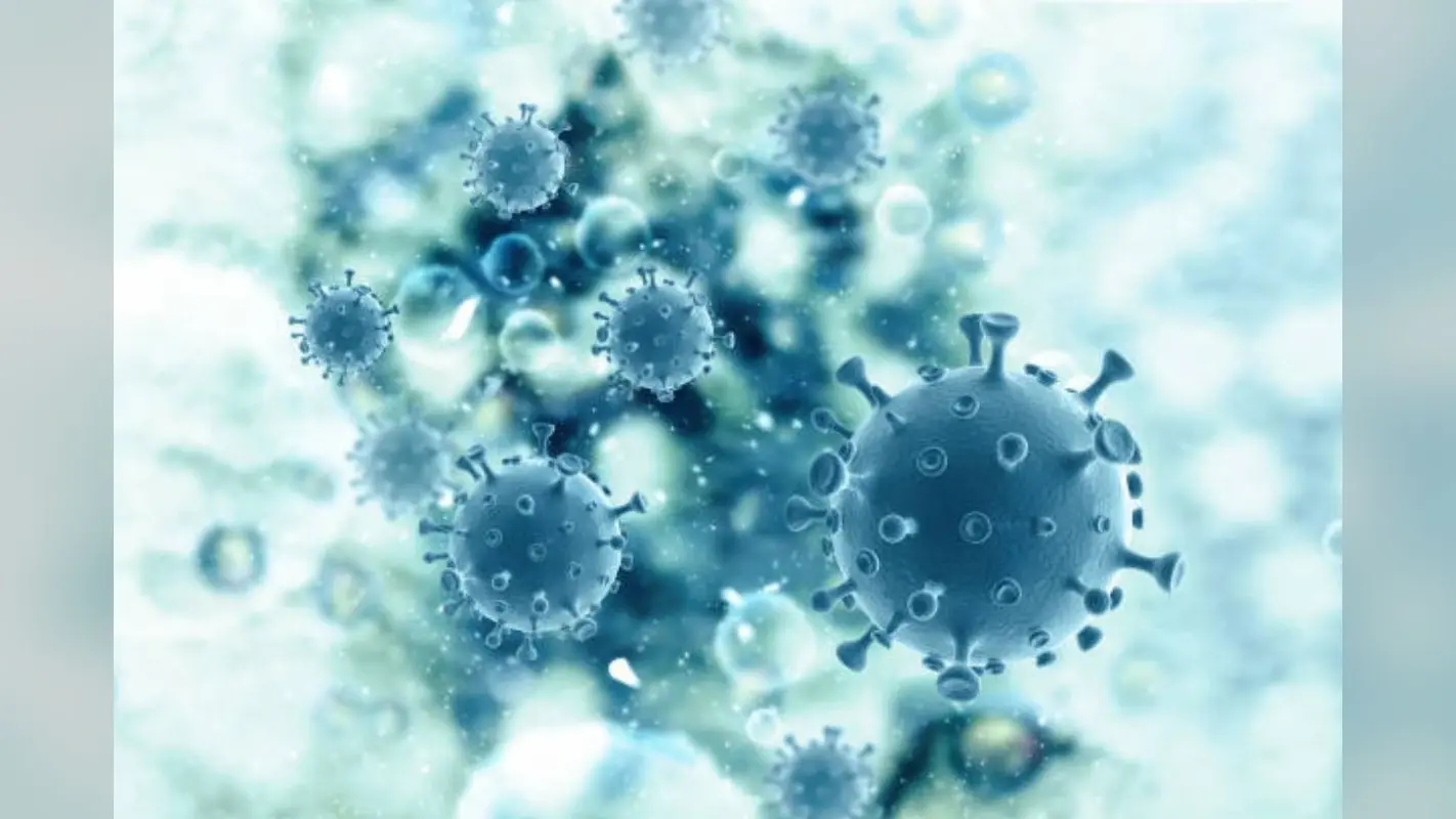 HMPV Virus New Case: फैल रहा है HMPV वायरस! कर्नाटक के बाद गुजरात में आया नया केस, 2 महीने का बच्चा हुआ संक्रमित