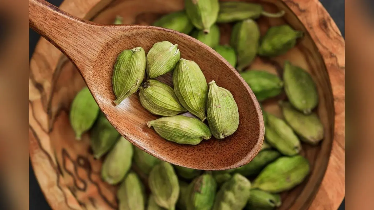 Health Tips:- बस एक इलायची से बीमारियां भाग जाएंगी आपसे कोसो दूर