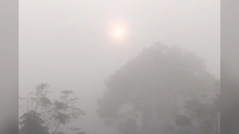 Jharkhand Weather: झारखंड के इन इलाकों में आज छाया रहेगा घना कोहरा, जानें ठंड से कब मिलेगी राहत