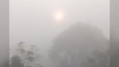 Jharkhand Weather: झारखंड के इन इलाकों में आज छाया रहेगा घना कोहरा, जानें ठंड से कब मिलेगी राहत