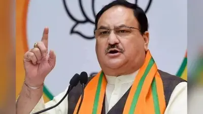 Delhi New CM: दिल्ली का अगला मुख्यमंत्री कौन? 10 विधायकों के साथ जेपी नड्डा ने की अलग-अलग मुलाकात