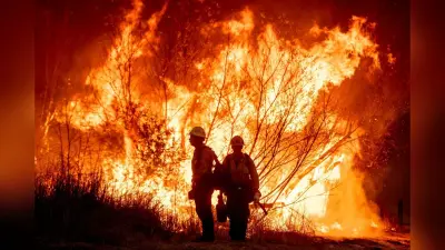 Los Angeles Wildfires: अर्नोल्ड श्वार्जनेगर समेत कई सितारों के घर मंडरा रहा आग का खतरा, अब तक 12000 से ज्यादा इमारतें जलकर खाक, Photos