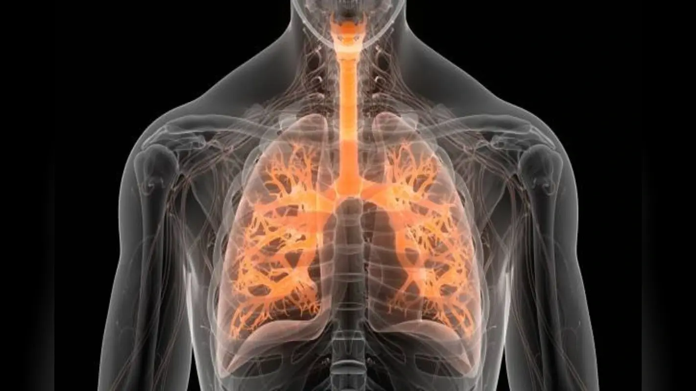 Health Tips: इन लक्षणों को भूलकर भी न करें नजरअंदाज, फेफड़े खराब होने से पहले के हैं संकेत