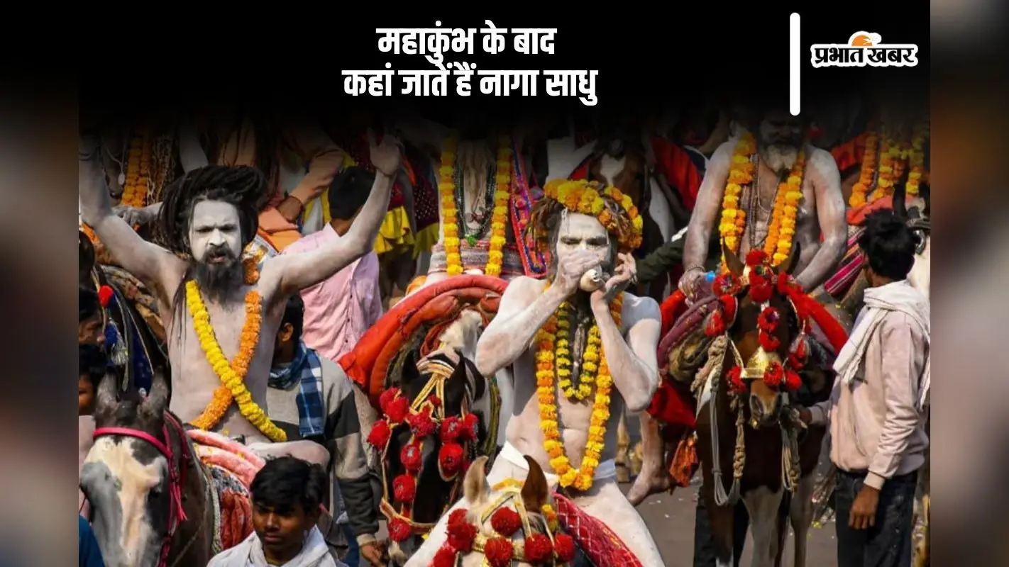 महाकुंभ के समापन के बाद कहां चले जाते हैं नागा साधु, यहां से जानें