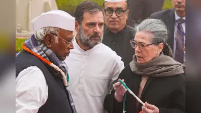 Video: राहुल गांधी की फिसली जुबान, कहा- ‘इंडिया स्टेट’ के खिलाफ लड़ रहे लड़ाई, भड़की बीजेपी