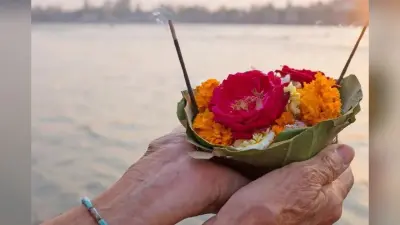 मौनी अमावस्या पर किन पेड़ों की पूजा करना है शुभ, यहां जानें इसके फायदे