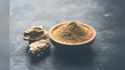 Beauty Tips: सर्दियों में भी आपकी त्वचा होगी चांद सी चमकदार, मुल्तानी मिट्टी के इस्तेमाल से होंगे ये फायदे