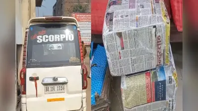 स्कॉर्पियो में छिपाकर लाई जा रही थी 30 किलो गांजे की खेप, पुलिस ने किया ताबड़तोड़ कार्रवाई