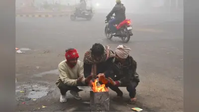Muzaffarpur Weather: नए साल पर ठंड की बढ़ी रफ्तार, सर्द हवाओं ने डाला डेरा, जानिए कैसा रहेगा आज का मौसम?