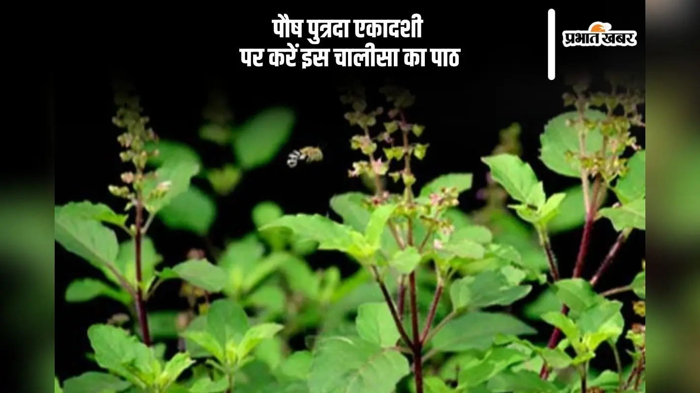 पौष पुत्रदा एकादशी पर जरूर करें चालीसा का पाठ, यहां देखें