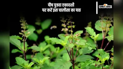 पौष पुत्रदा एकादशी पर जरूर करें चालीसा का पाठ, यहां देखें