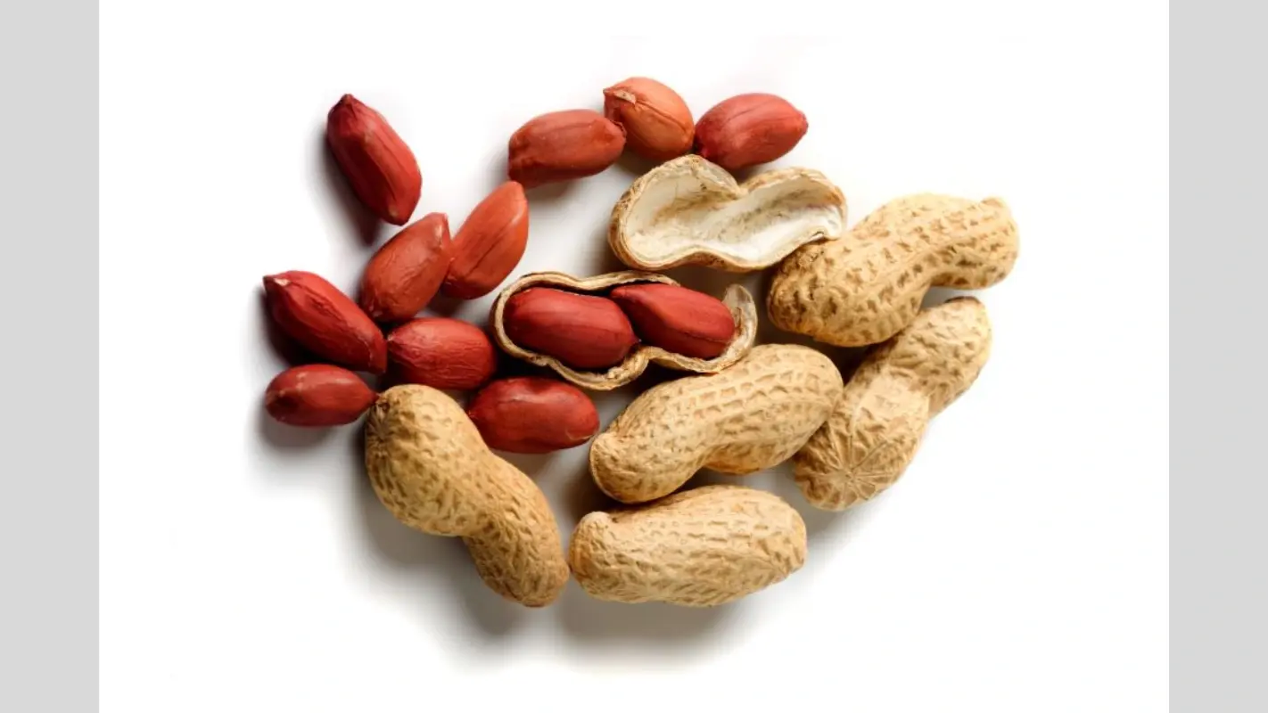 Peanut Overload Warning: ज्यादा मूंगफली खाना सेहत के लिए हो सकता है हानिकारक, जानें कारण