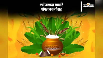 क्यों मनाते हैं पोंगल का त्योहार, यहां से जानें