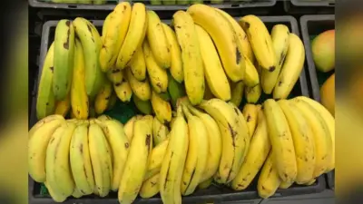 Health Tips: केले में छिपा हो सकता है जहर, ऐसे करें कार्बाइड से पके केले की पहचान