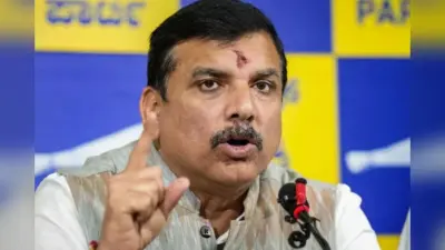 फर्जी वोटर्स के मुद्दे पर संजय सिंह का आया VIDEO,बीजेपी पर किया पलटवार